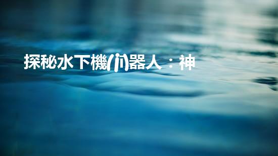 探秘水下機(jī)器人：神秘海底世界的無人勇者！